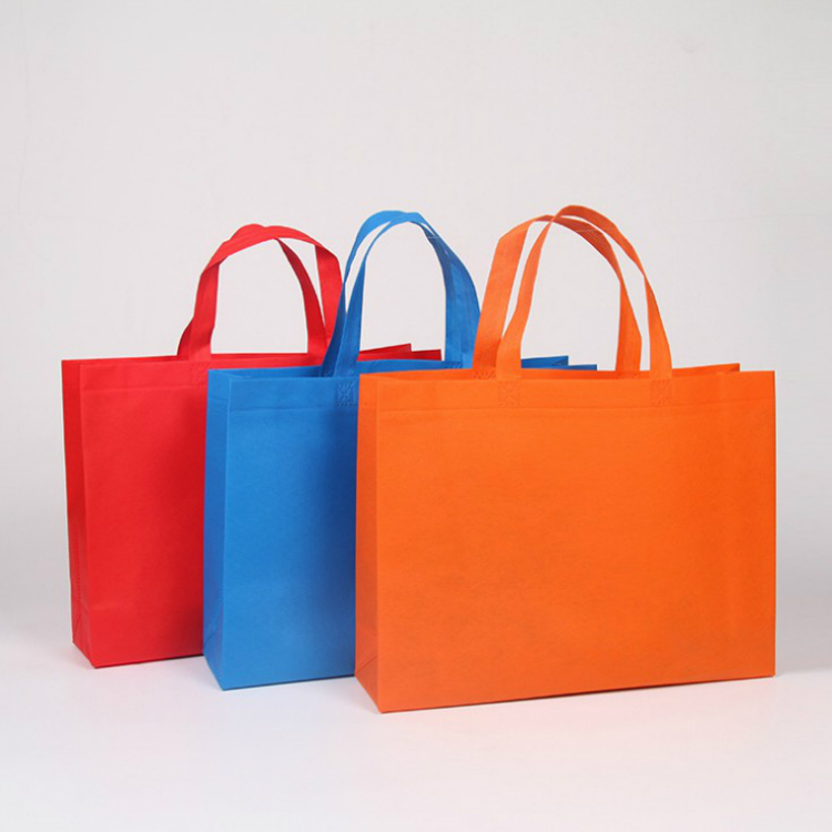 Non Woven Shopping Bag/PP Non Woven Bag/PP Ecological Handle